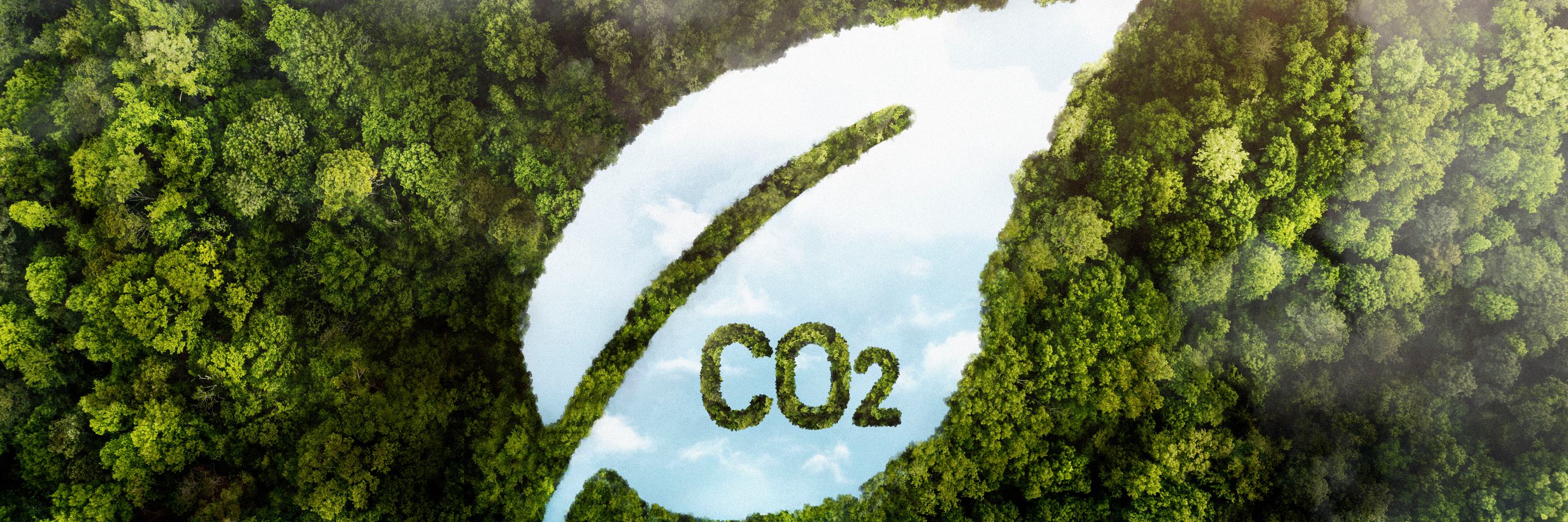 View green forest trees with co2 copy