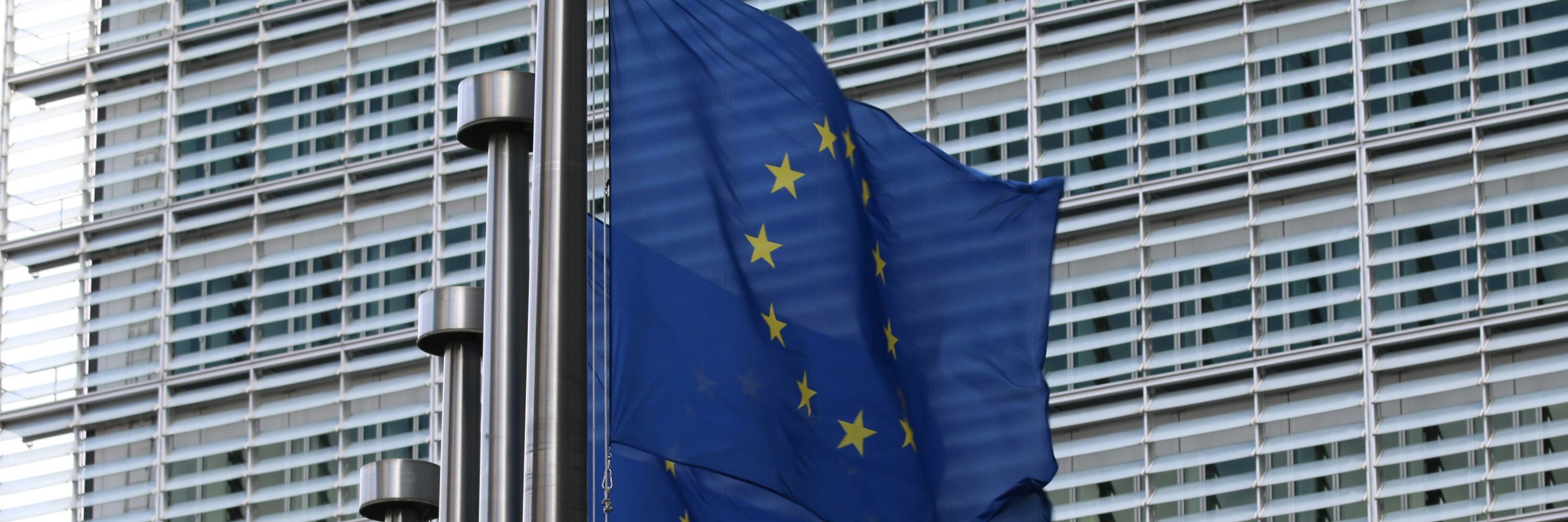 EU Flags