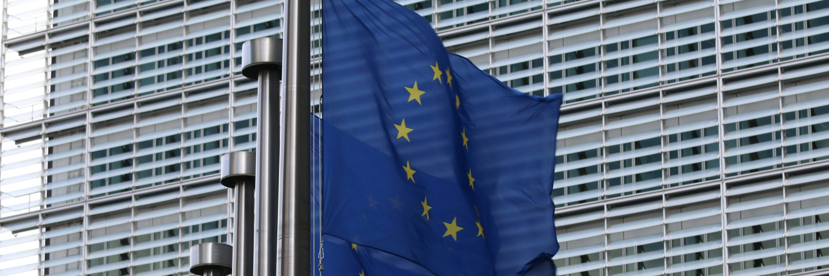 EU Flags