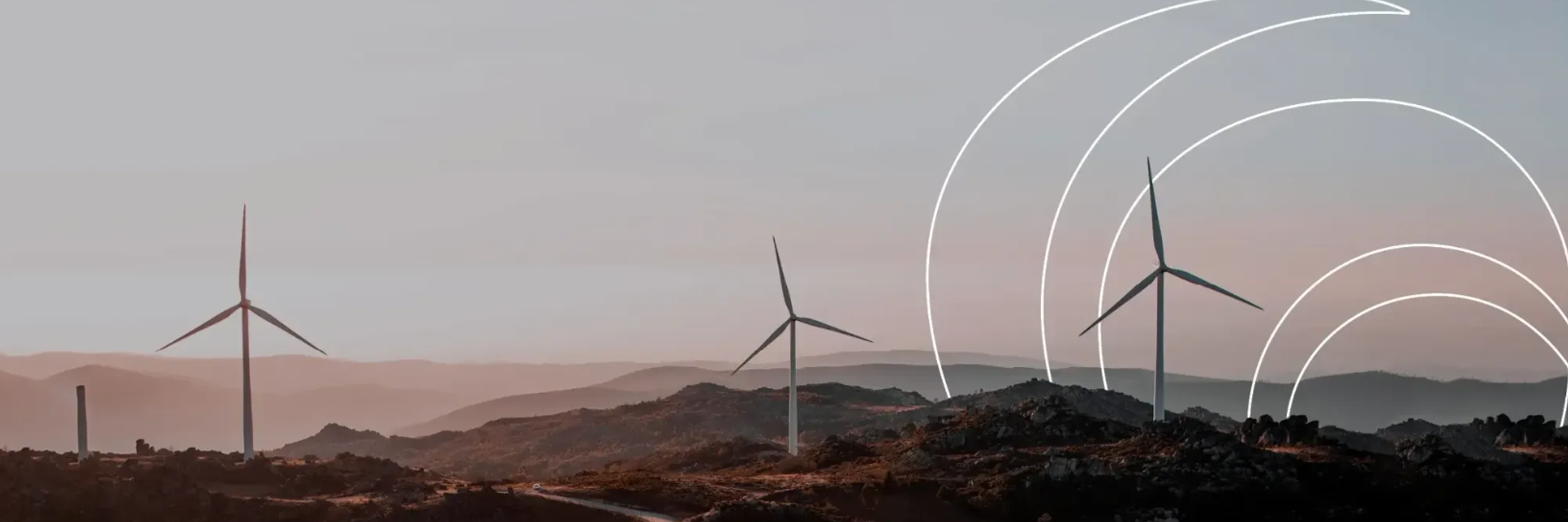 Growth symbol banner