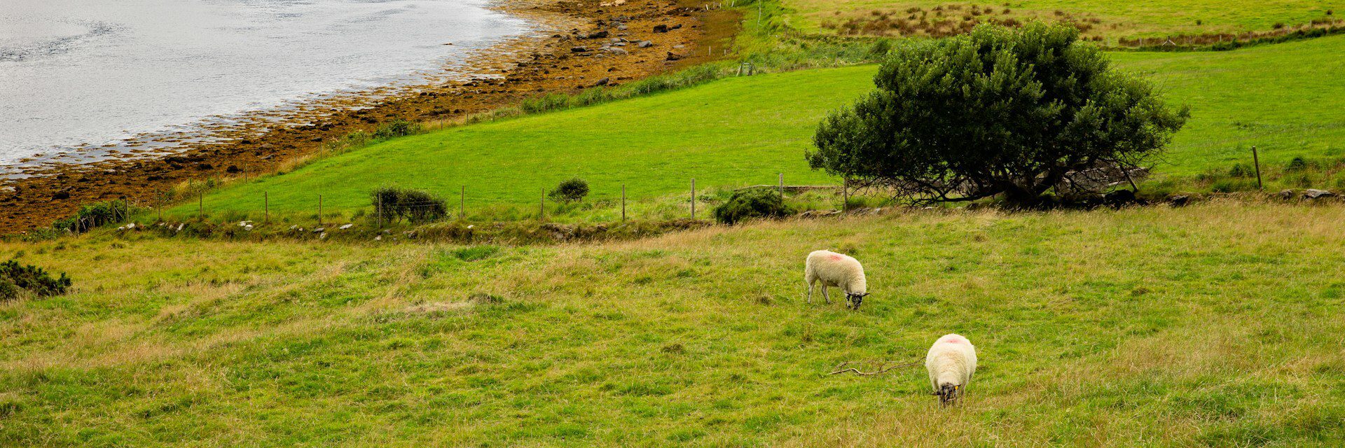 Loughross Donegal Ireland