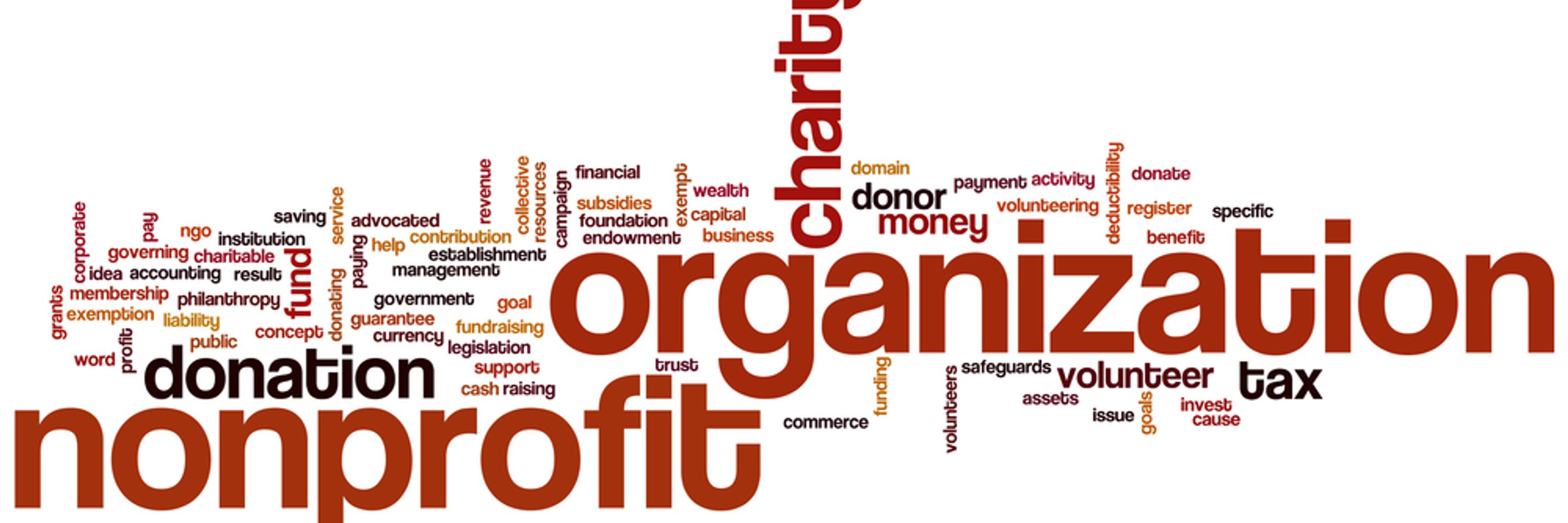 Non Profit Organisations and other workds