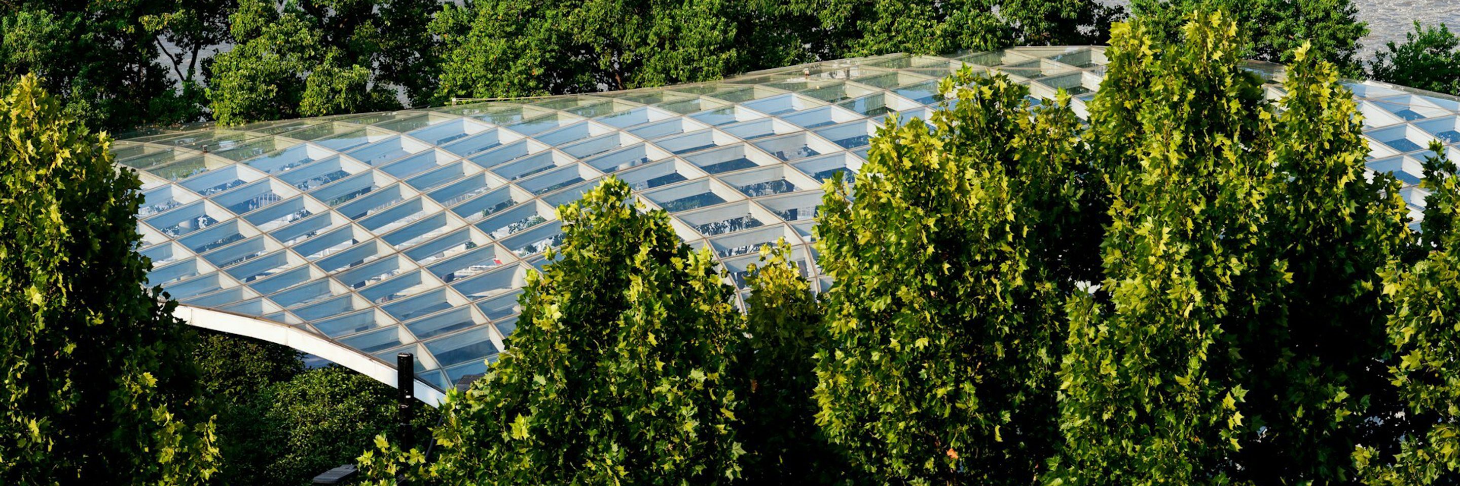 Declan sun F Iyl9n D2 I3o unsplash