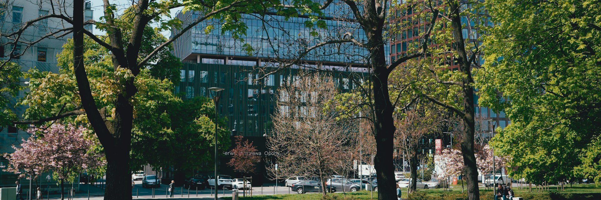 Egor komarov K D L5ygrm I unsplash