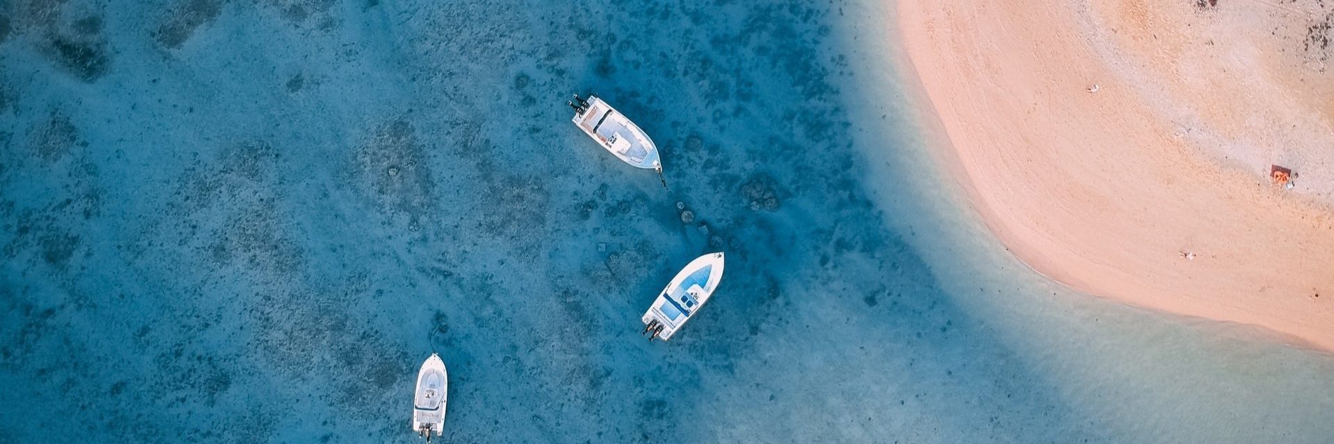 btiom-insight-banner-10