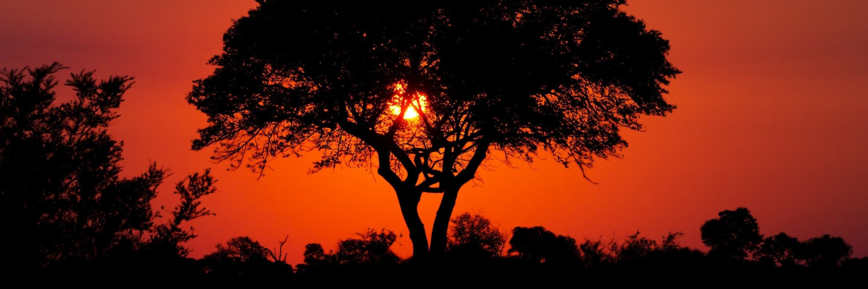 btiom-insight-banner-16