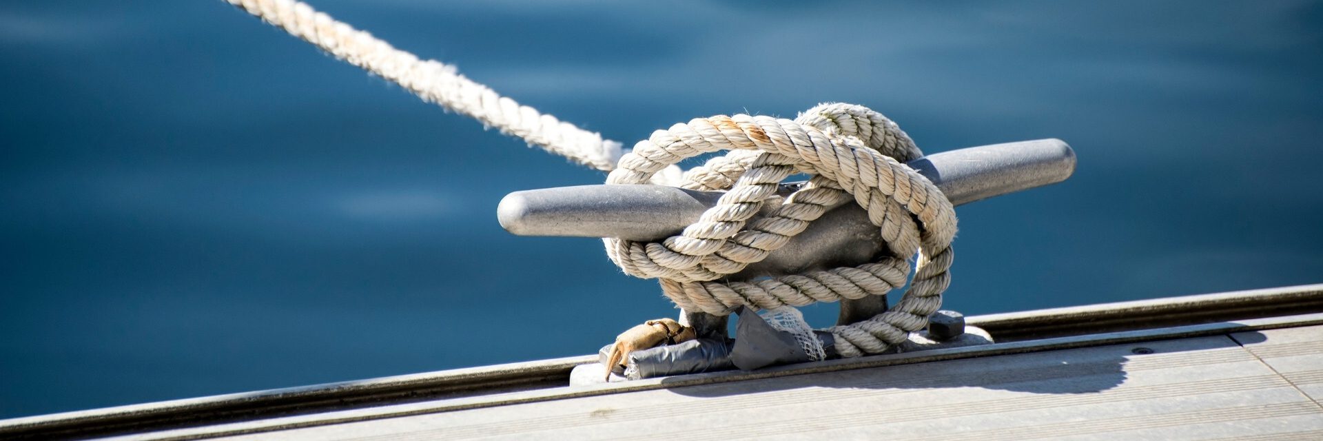 btiom-insight-banner-17