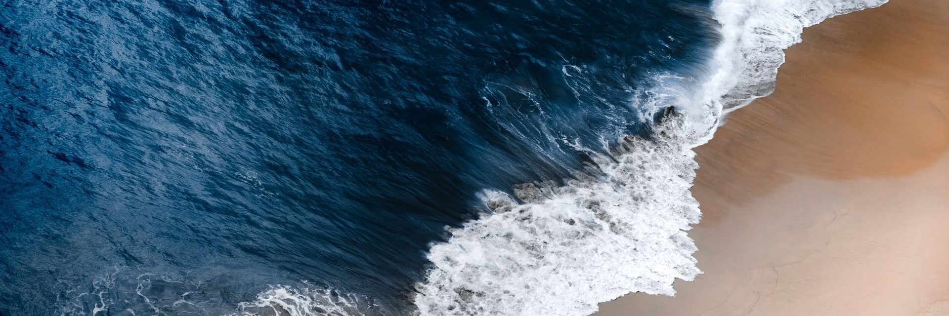 btiom-insight-banner-9