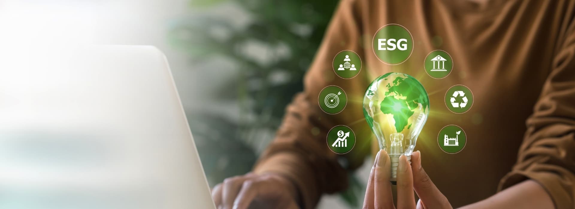 btiom-insight-content-image-1