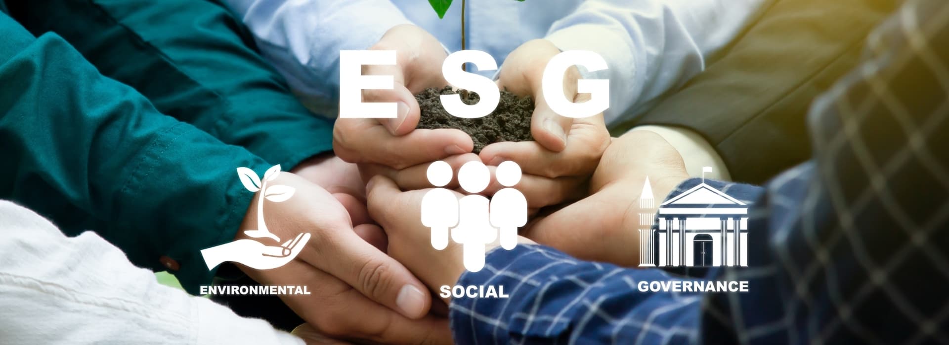 btiom-insight-content-image-1