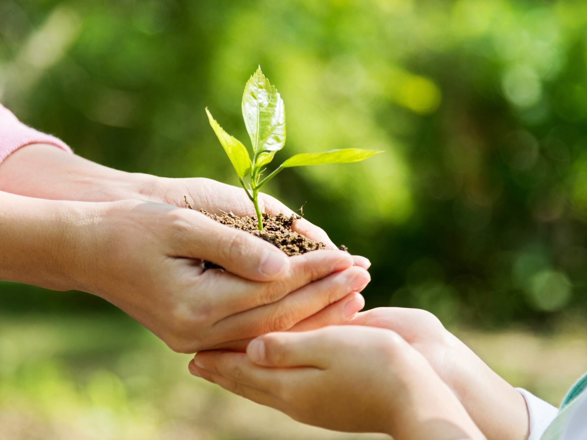 carbon-neutral-britain-image-two