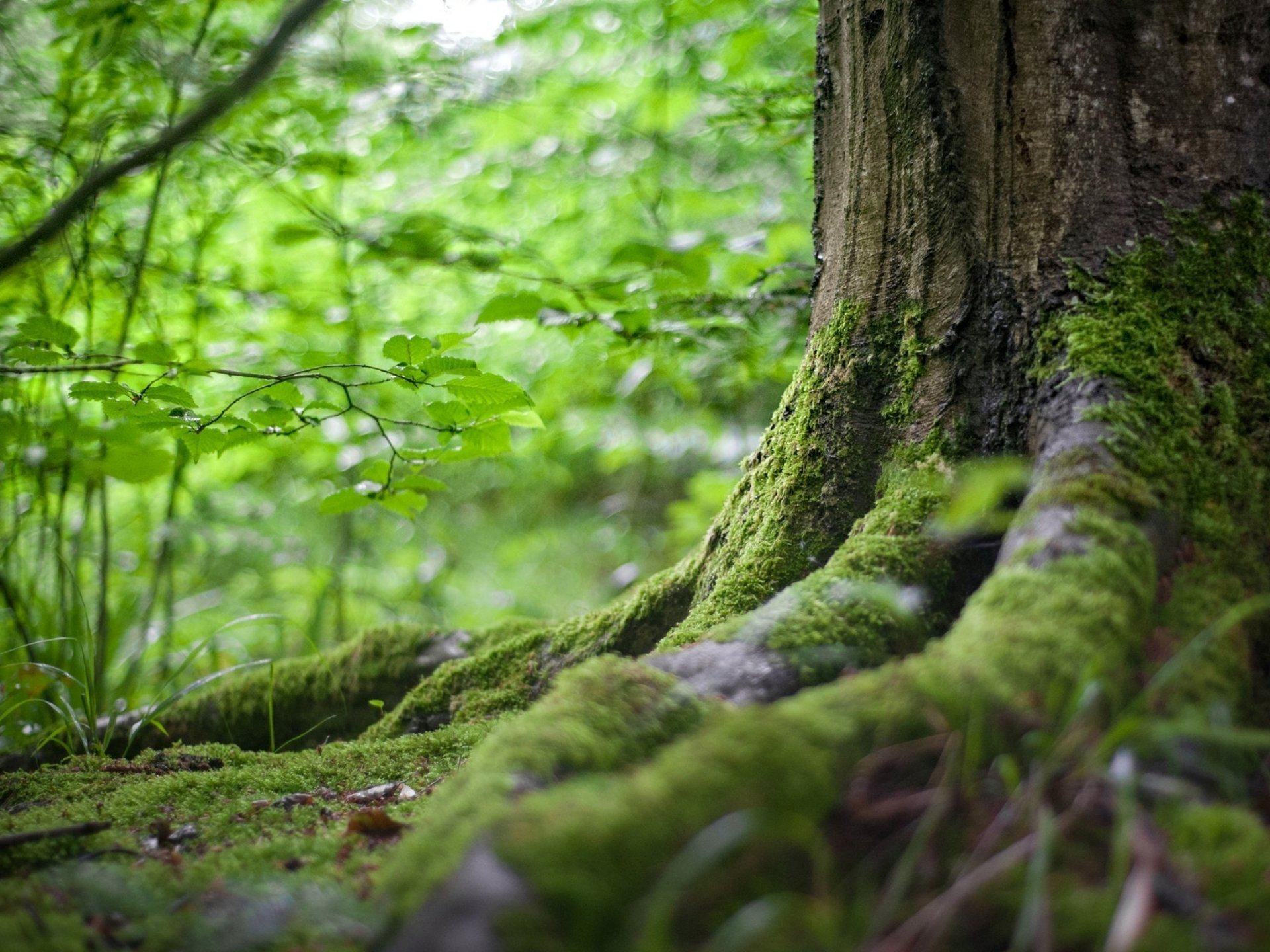 sustainability-and-esg-image-one