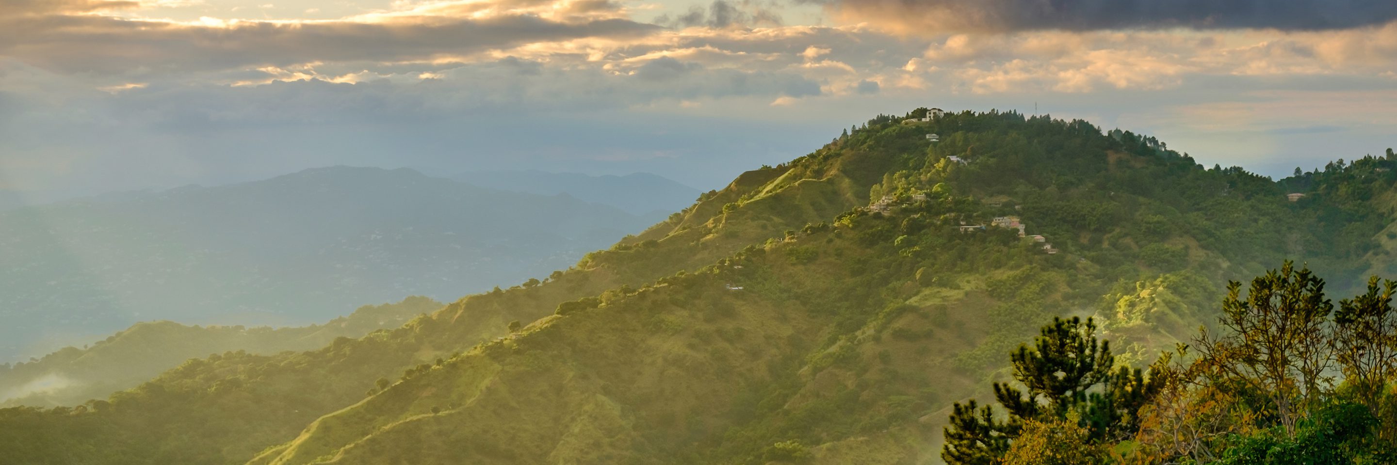 Adobe Stock 275471016