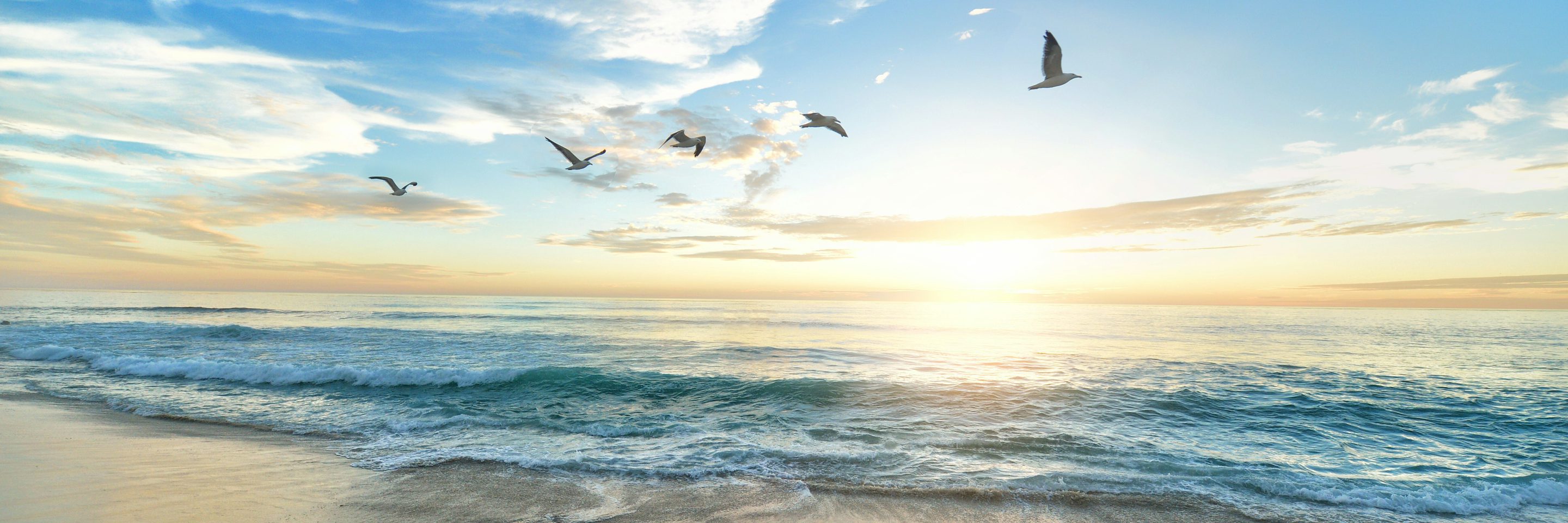 Frank mckenna OD9 E Ozf S Oh0 unsplash