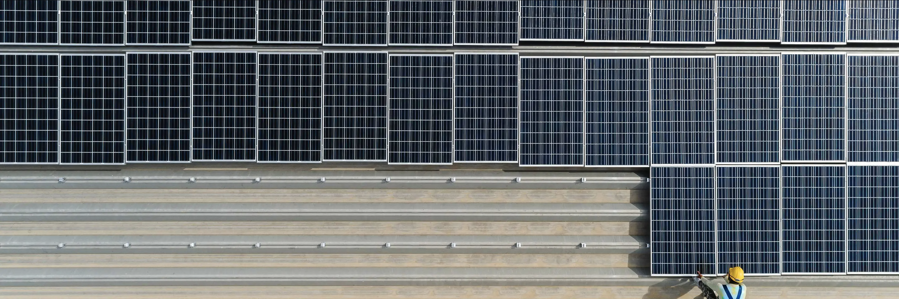 The ESG evolution What 2025 holds