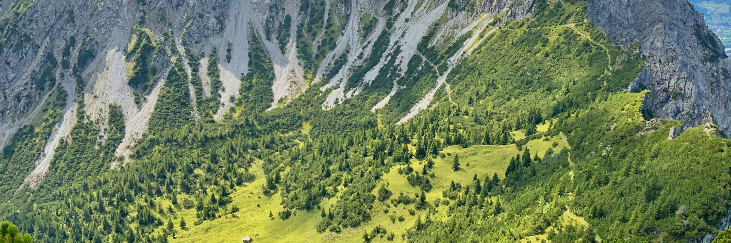 Vonmitzscha Mi P Yl4f L Sc U unsplash