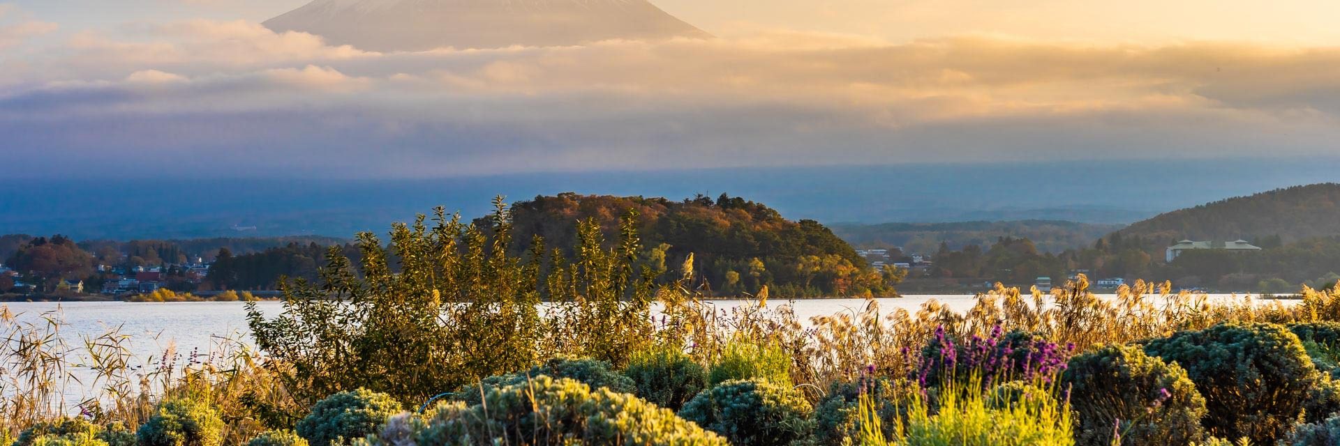 Beautiful landscape mountain fuji