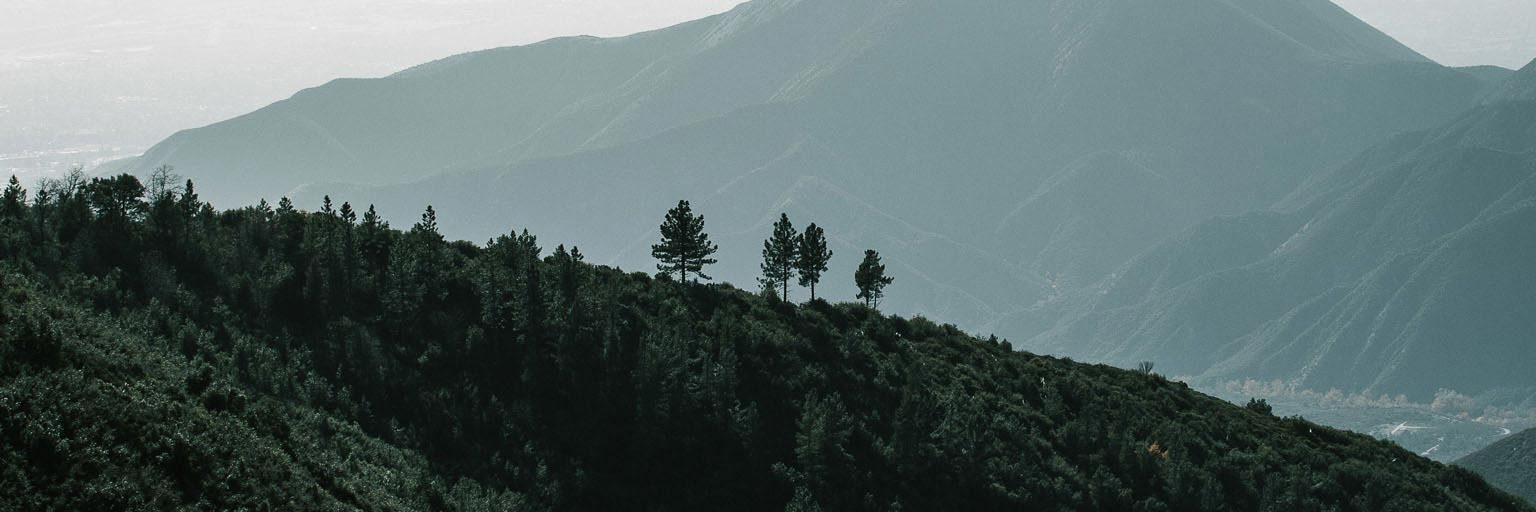 https://bti-global.transforms.svdcdn.com/production/network/mexico/images/Stock-BTM/Pr%C3%A1cticas/Impuestos/majestic-view-forest-surrounded-by-mountains-big-bear-california.jpg?w=2880&h=960&q=75&auto=format&fit=min&dm=1778621067&s=1058757214e69dc79f51cc62e6b148a2
