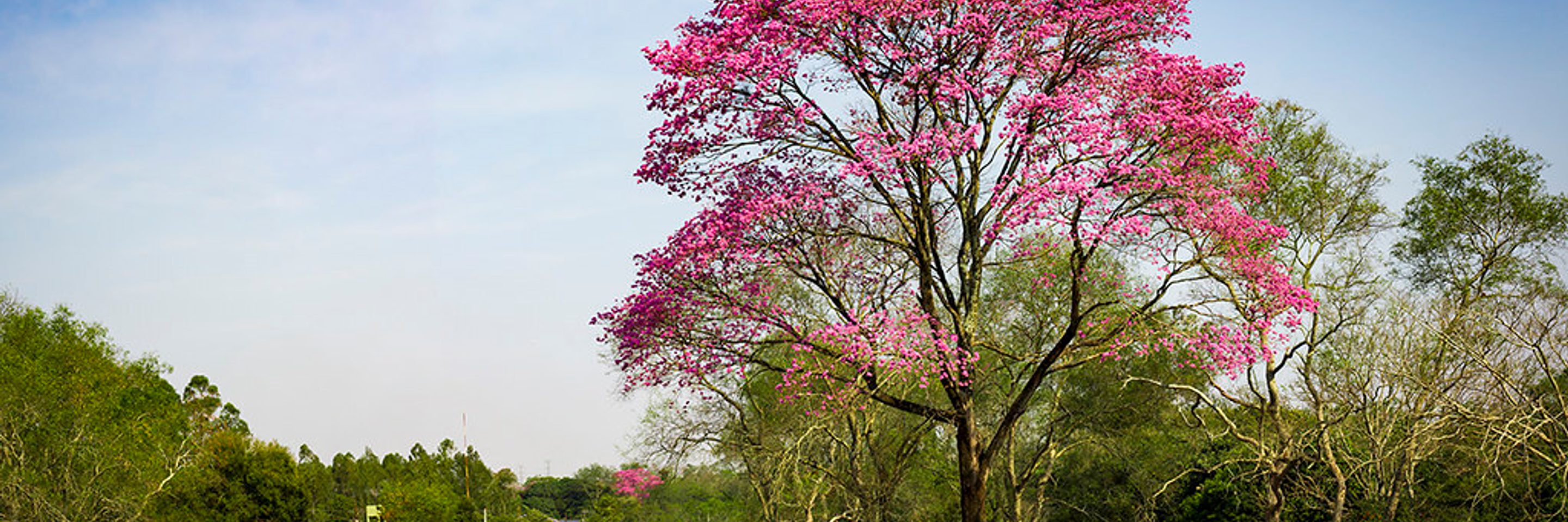 Doing Business 2024 Doing Business 2024