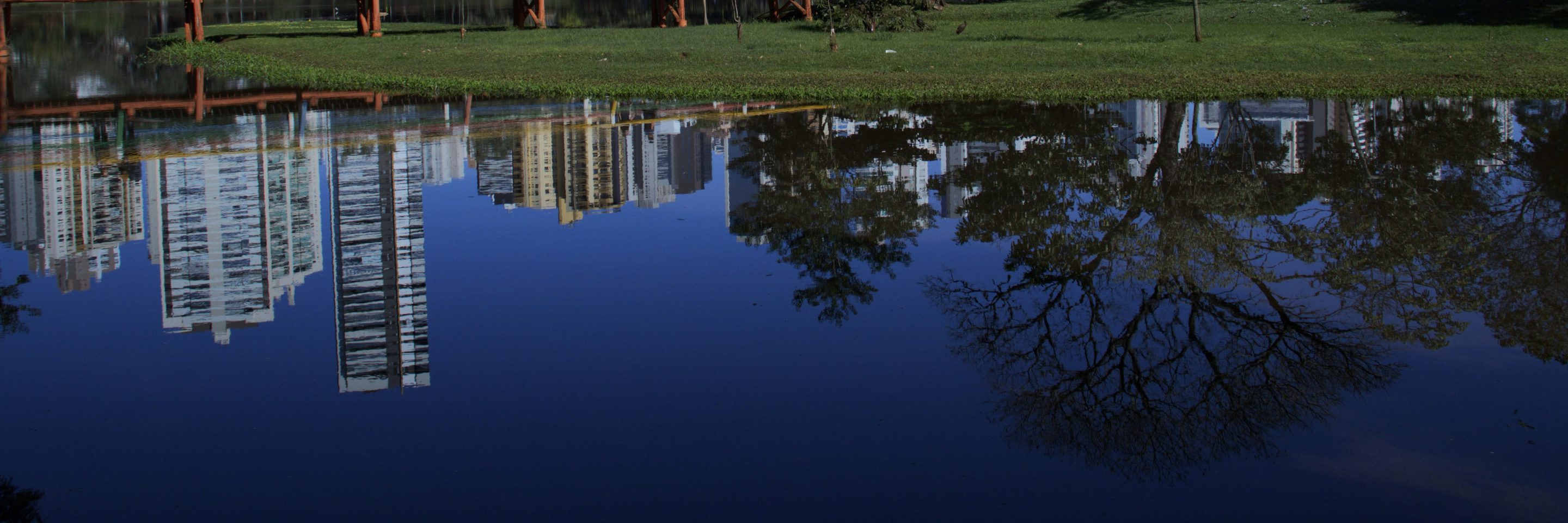 Rafael otaki ebnhi YTJ Qe Q unsplash