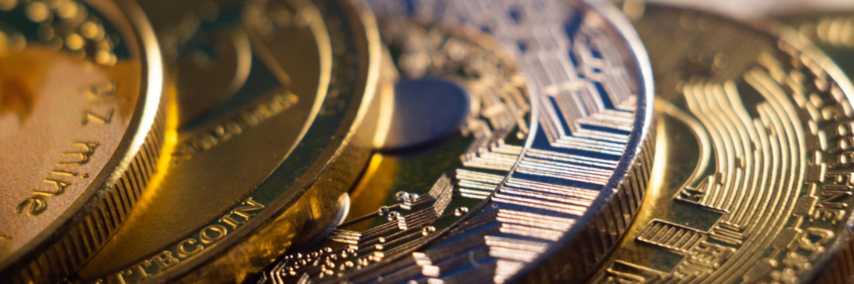 Cripto
