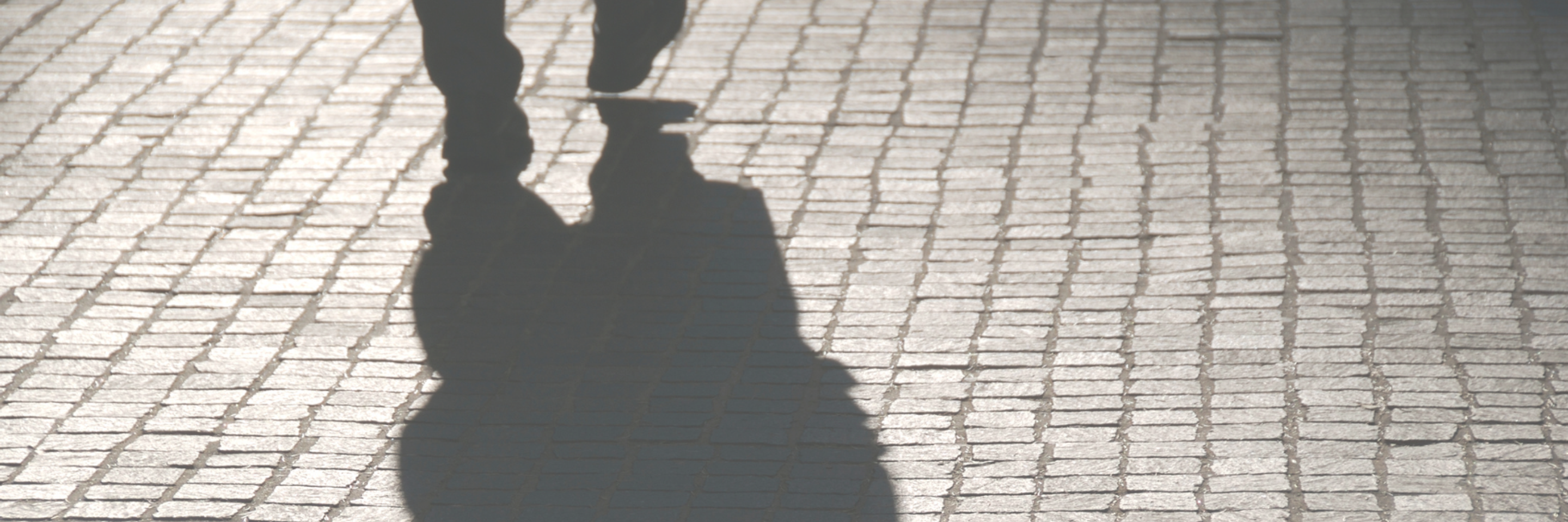 BTLP Dzien Kobiet 1699 x 971 px 1