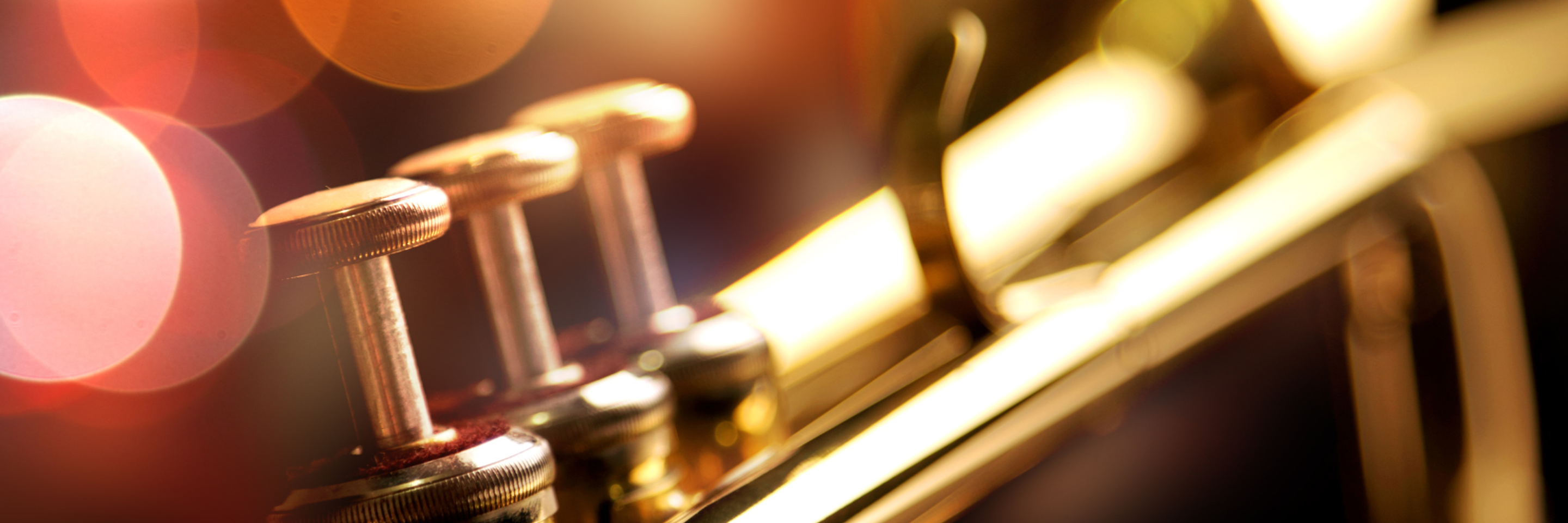 BTLP Dzien Kobiet 1699 x 971 px