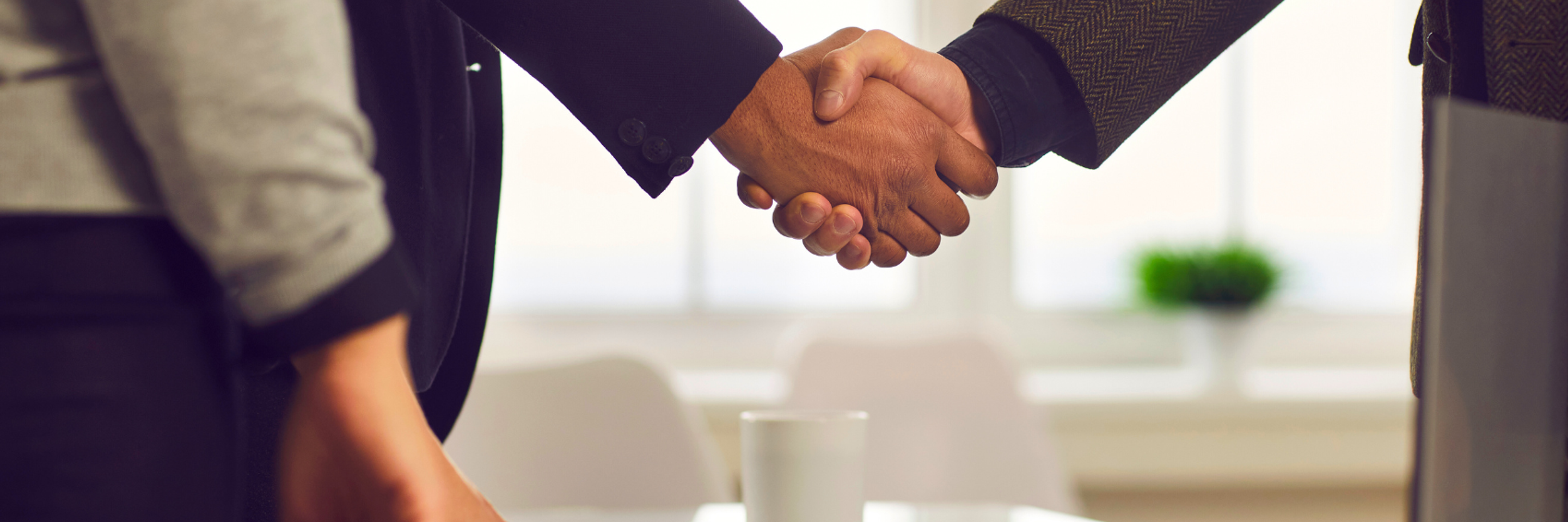 BTLP Umowy dystrybucyjne KG