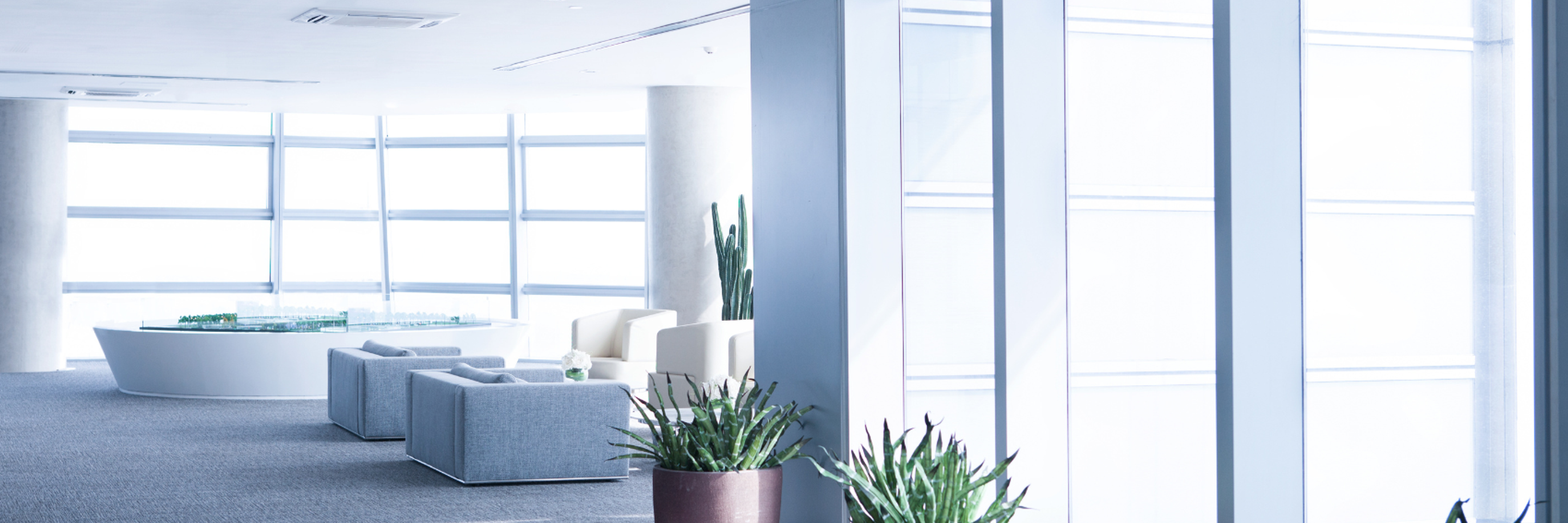 BTLP grafika na www 2