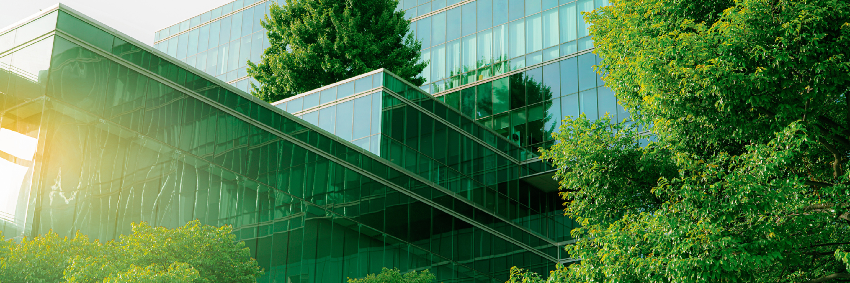 BTLP Fundacje rodzinne opodatkowanie 3