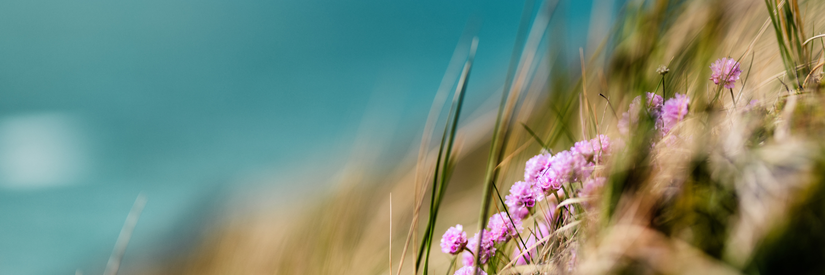 Baker Tilly TPA Index