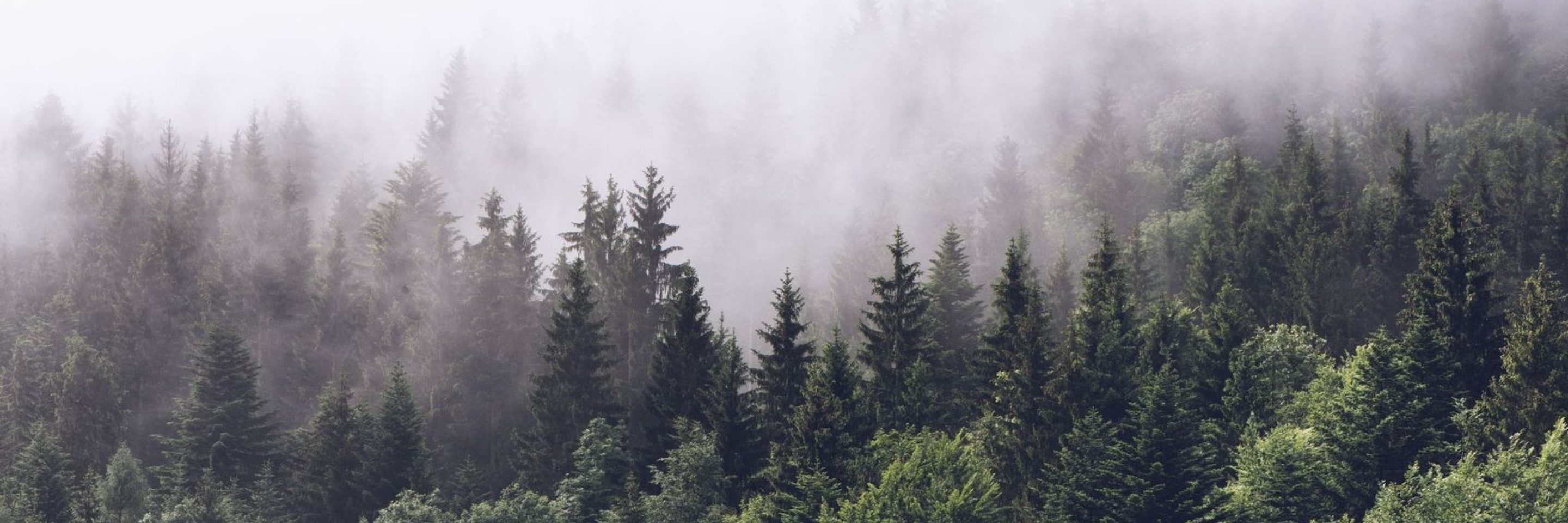 Global dealmakers Cross border MA in 2021 13 04 21 1699x972 j