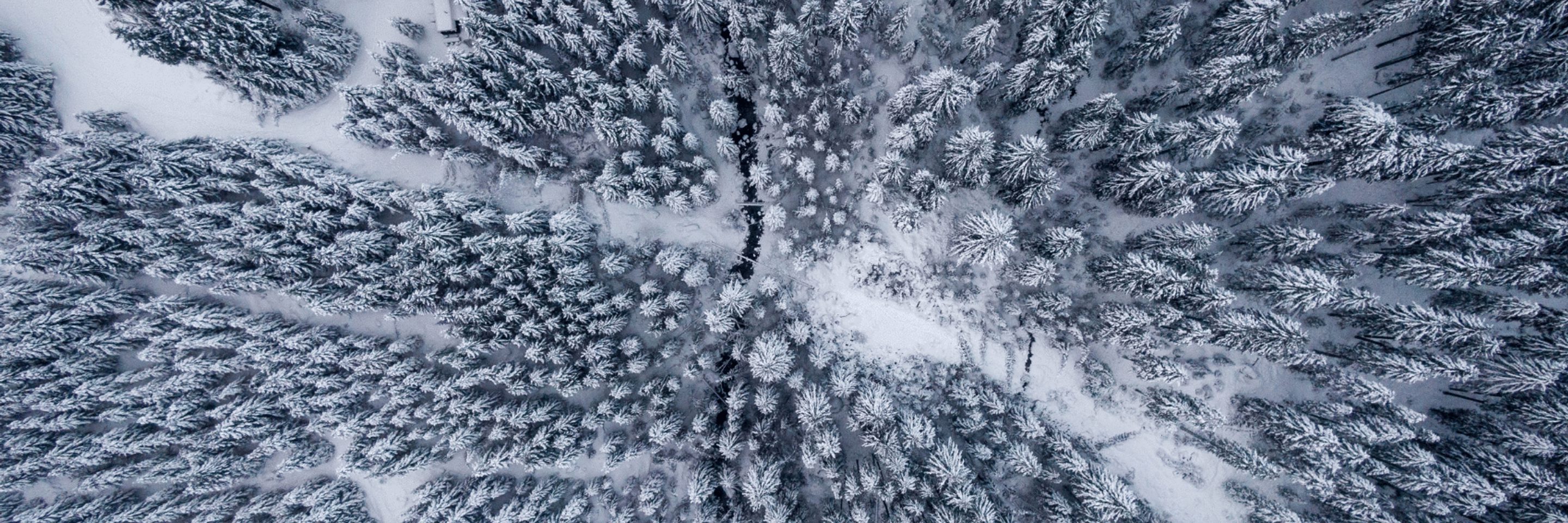 Projekt bez tytulu 42