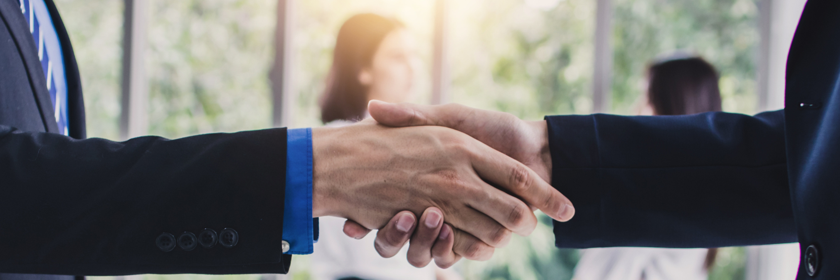 The Legal 500 Private Client 1