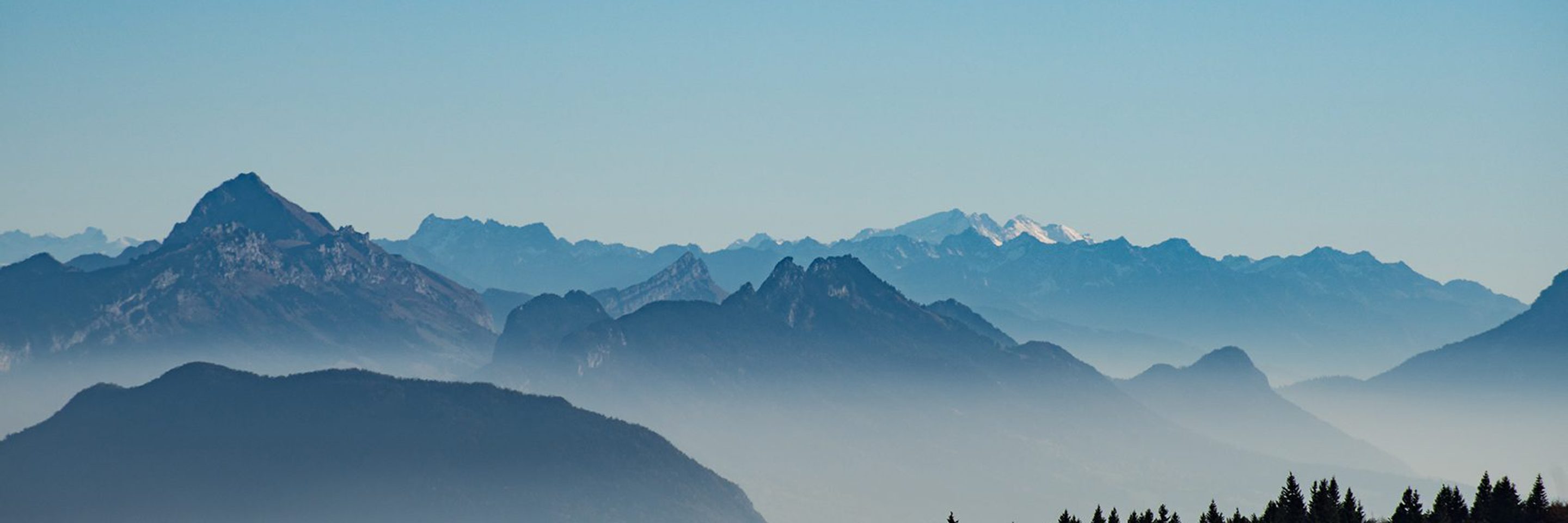 Olivier miche OZA Caa Uskhg unsplash e1611667584277