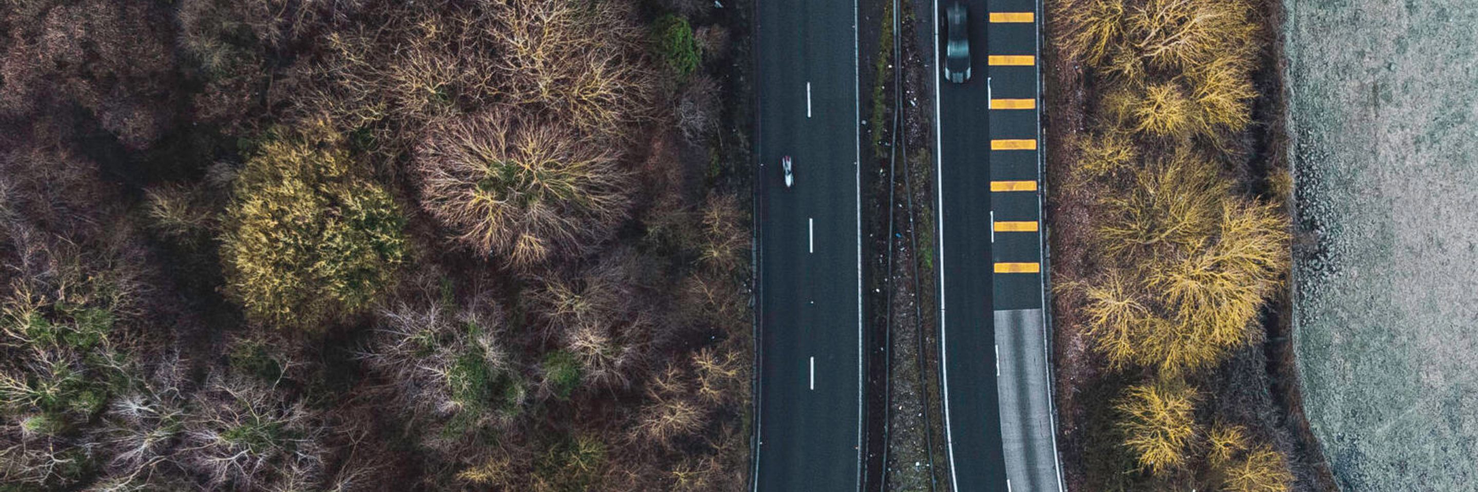 Winter road view from trees 1 scaled e1750687444868