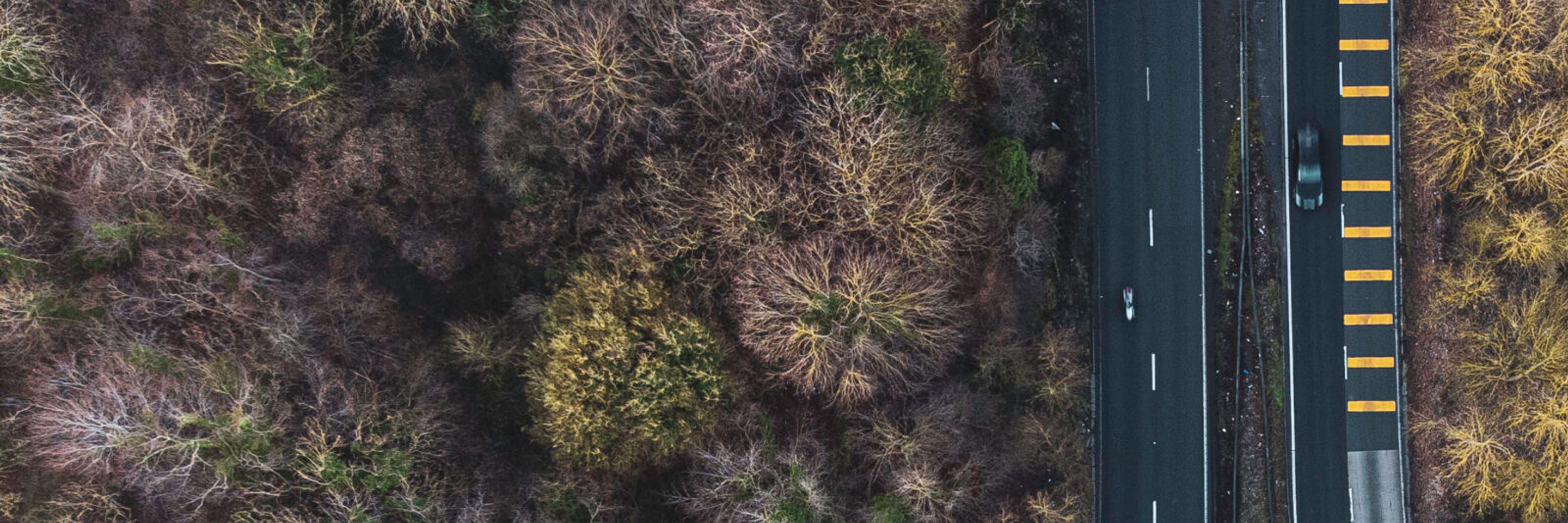 Winter road view from trees scaled e1750668382195