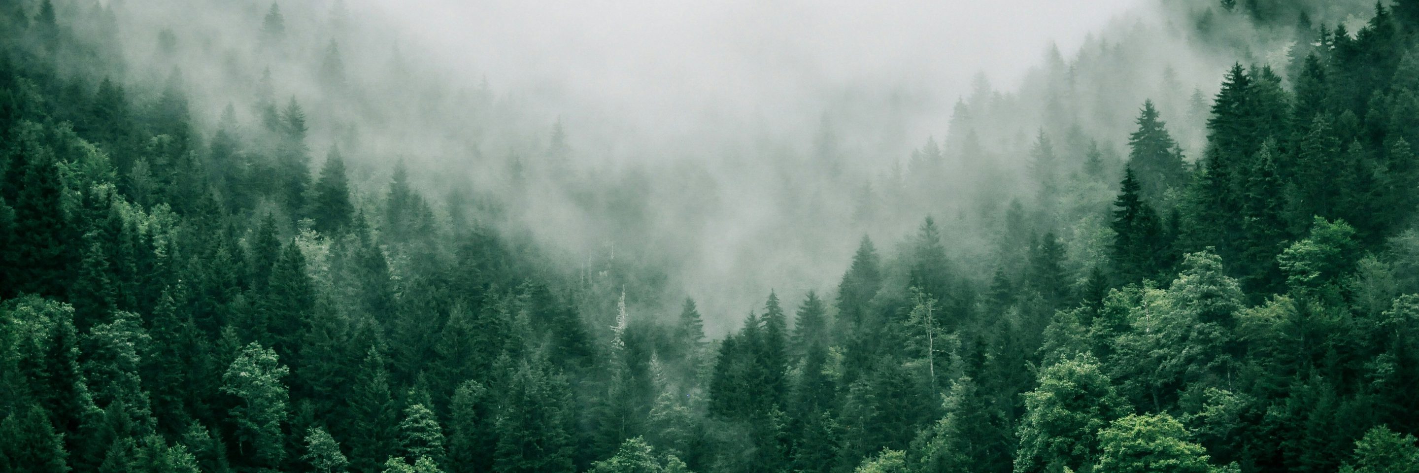 Marita kavelashvili ugnr Xk1129g unsplash