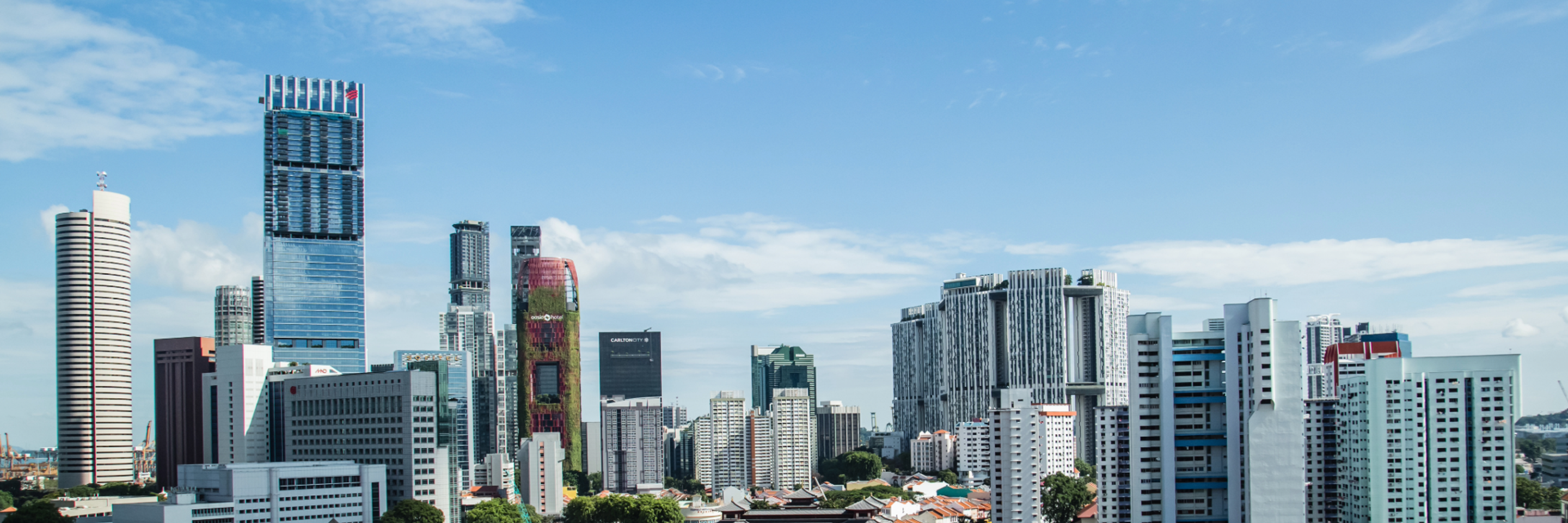SG Skyline IPO 1