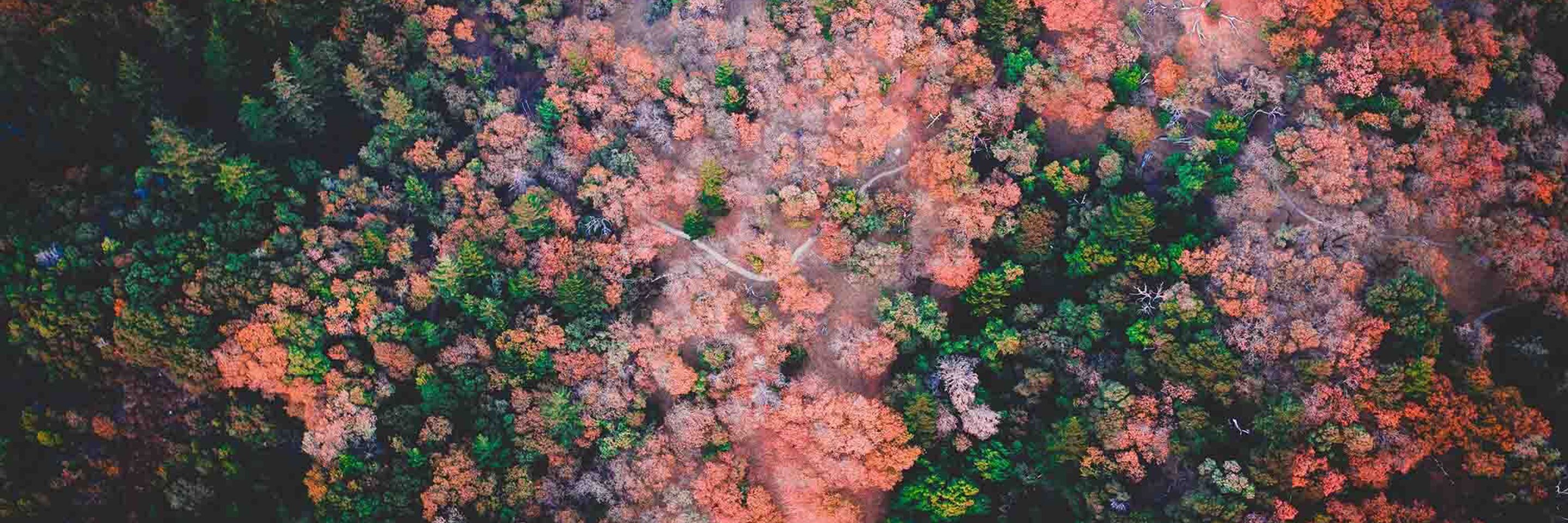 Denys nevozhai gaat znjene unsplash lowres