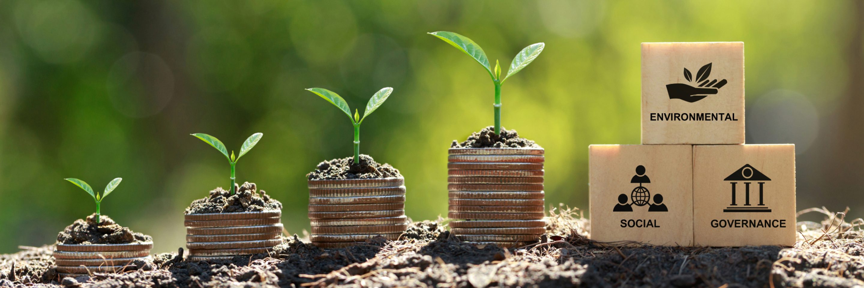 eco environment governance social sustainability green plant