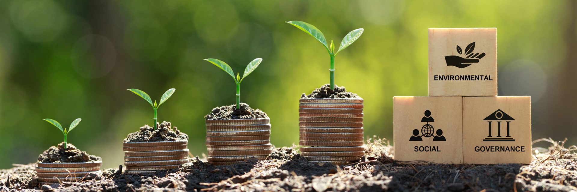 eco environment governance social sustainability green plant