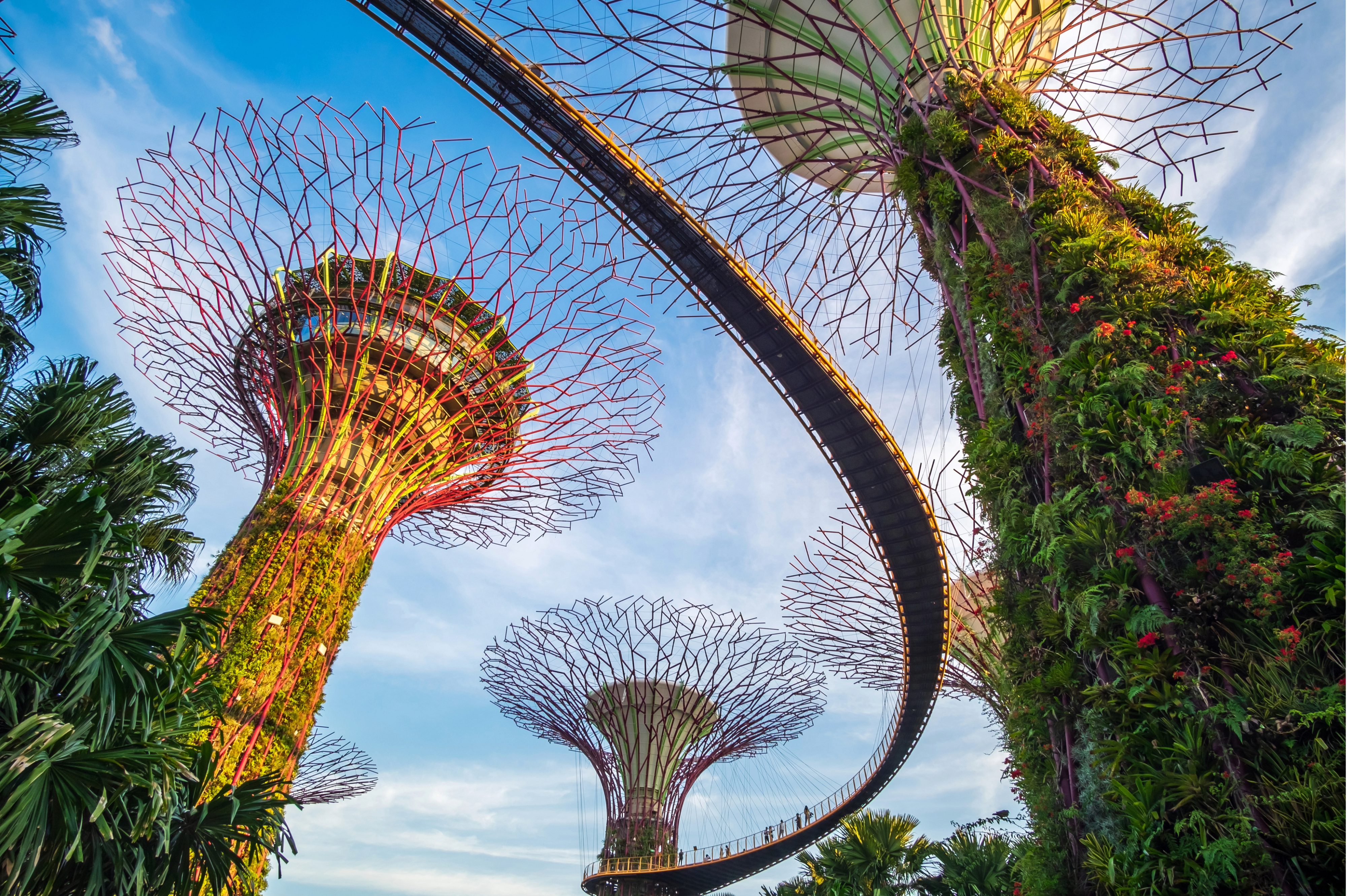 Gardens by the bay singapore supertree nature tree plans