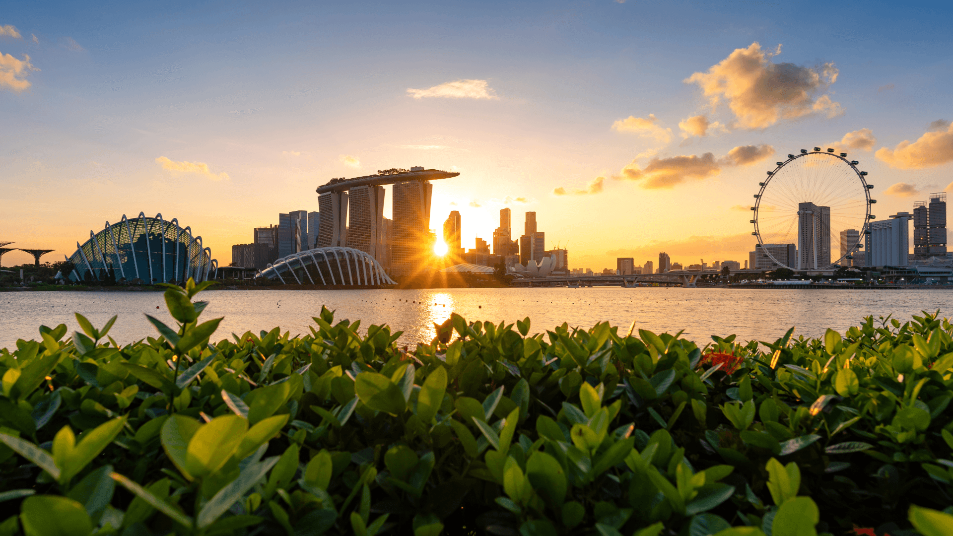 Singapore mbs skyline sunset