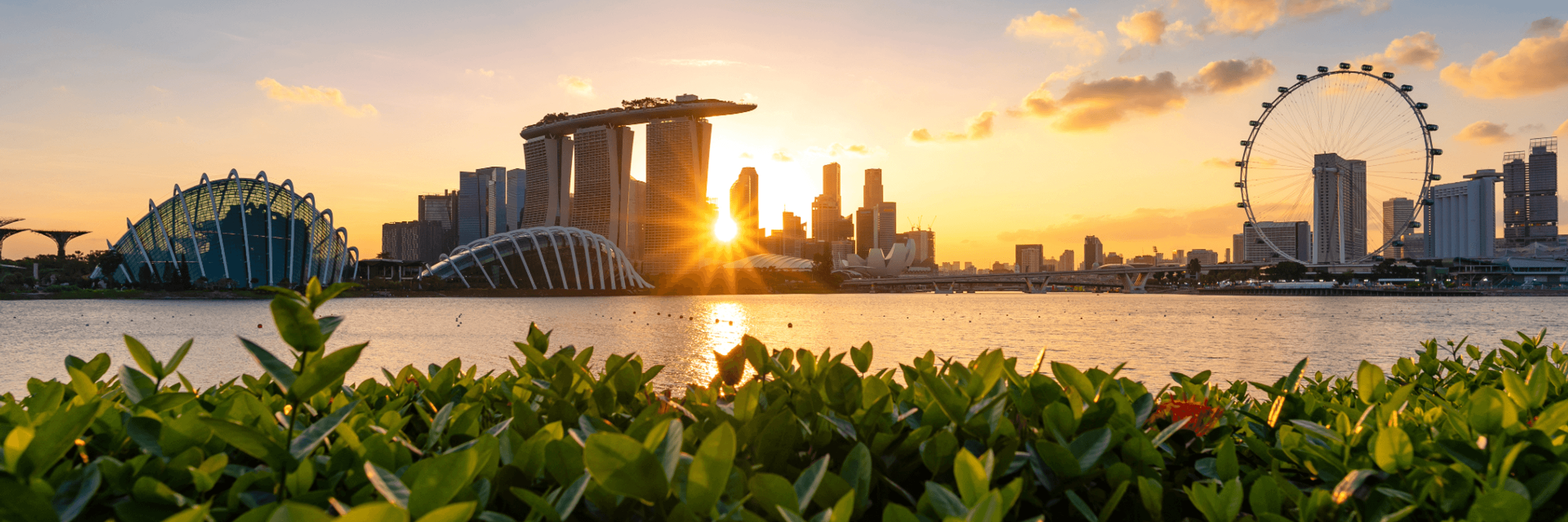 Singapore mbs skyline sunset