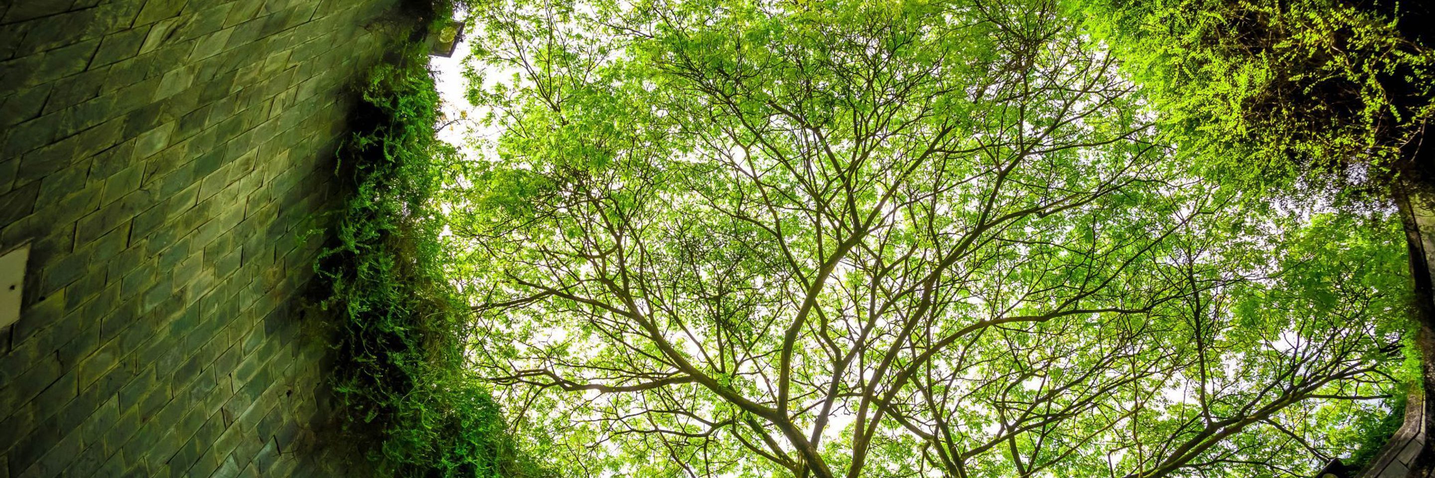 Integrating esg in investments