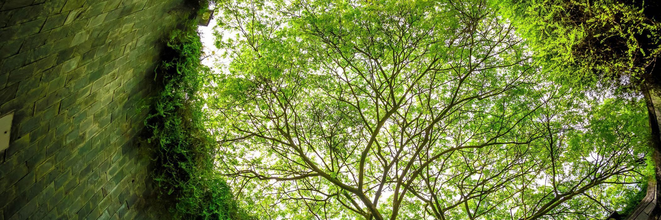 Integrating esg in investments