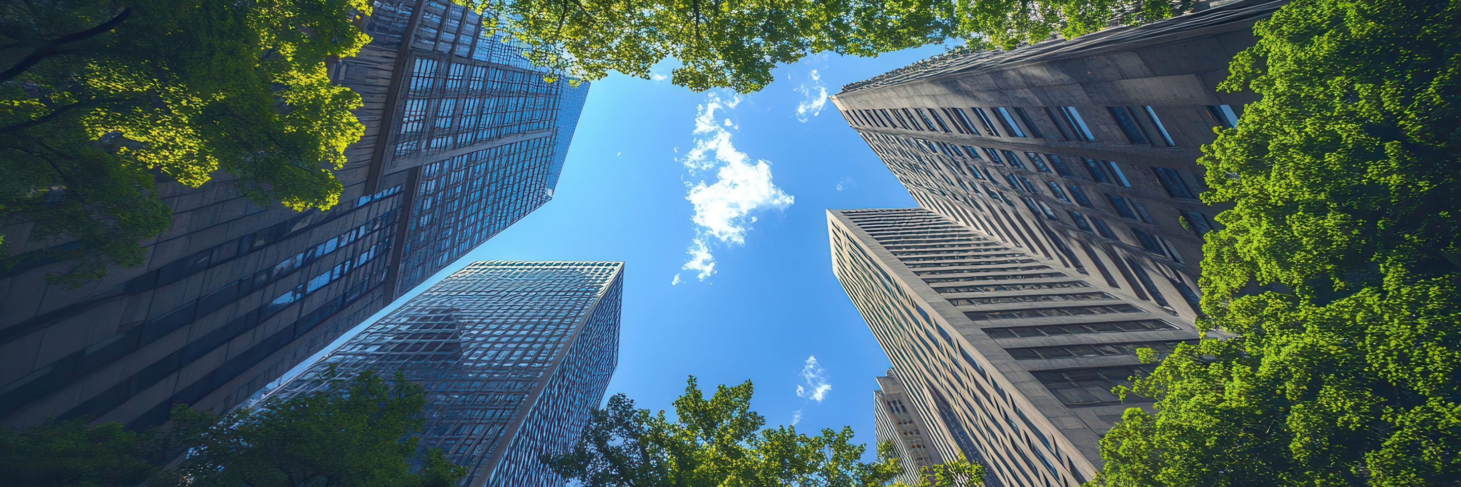 Adobe Stock 1477718486 1
