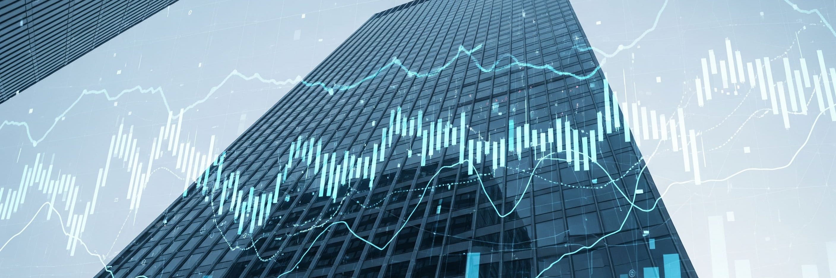 Adobe Stock 1809073783 1