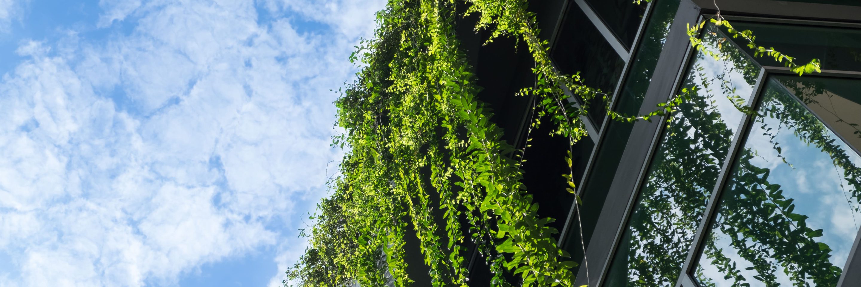 Adobe Stock 206679241 1